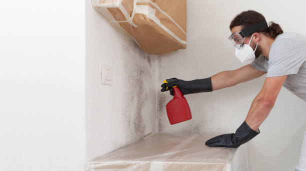 Professional Mold Remediation technician working in Greenvale, NY